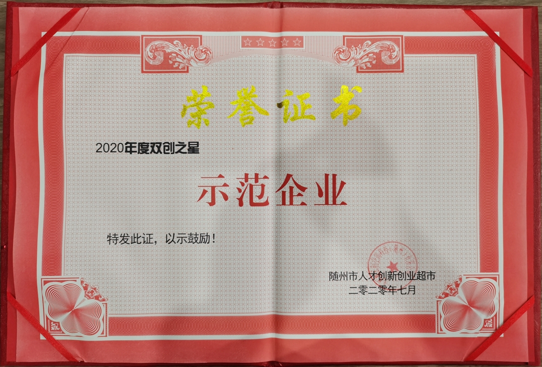 人才超市双创之星示范奖-1.jpg