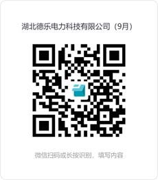 湖北德乐电力科技有限公司（9月）.jpg