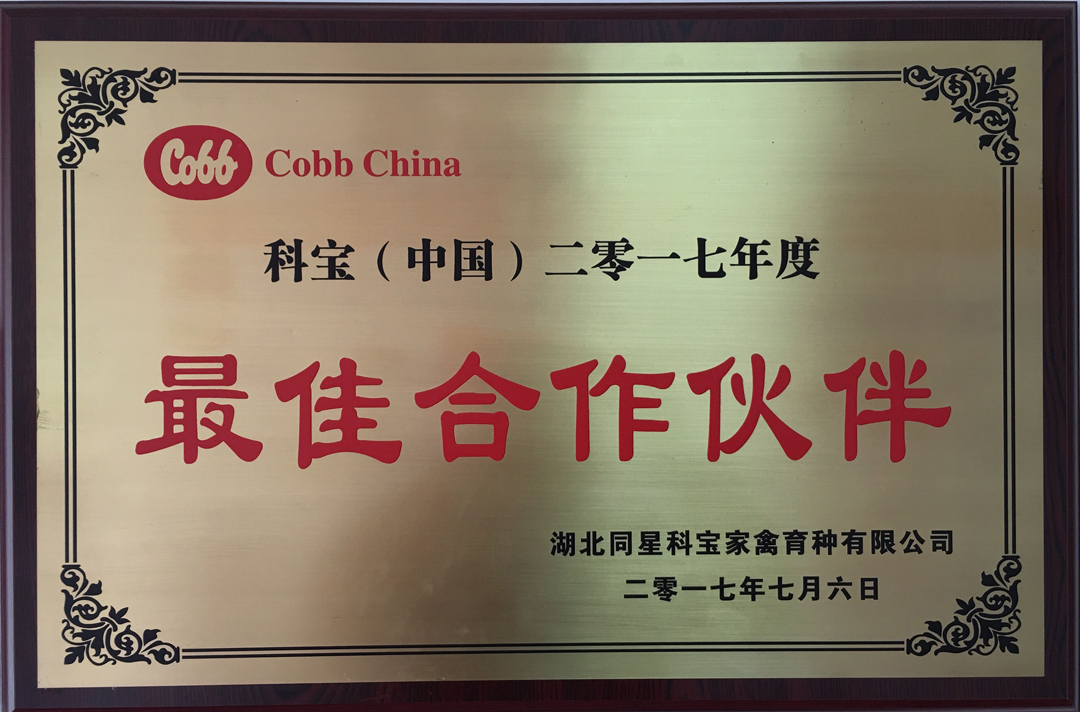 科宝（中国）最佳合作伙伴